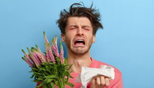 花粉症への食事アプローチ